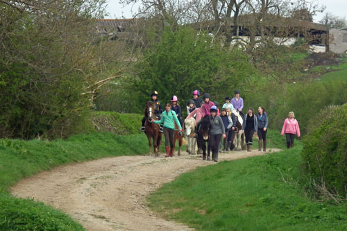 group of horses and riders