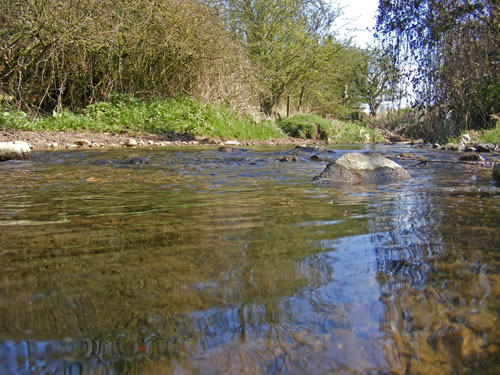 Image of Fairham Brook