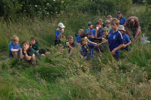 cub scouts on a visit to the meadow