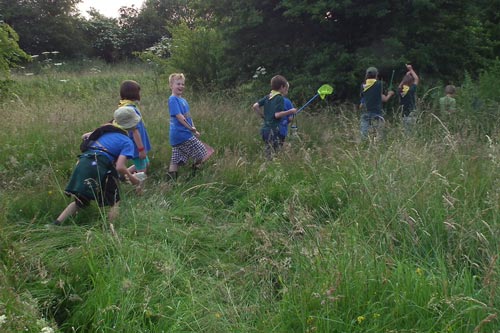keyworth cub scouts in the meadow
