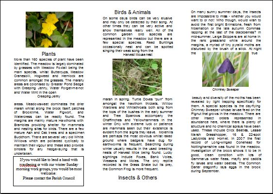 jpg image of Page 2 of Meadow leaflet.