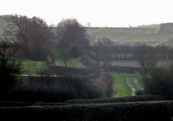 winter scene of Lings Lane wending into the distance