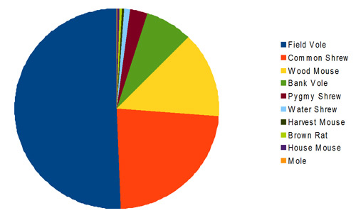 Pie chart showing mammalian prey of Rushcliffe Barn Owls