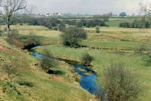 Photo of 'Sailors' taken in 1977.