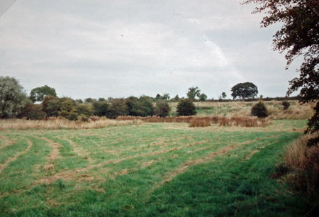 View of the meadow in Oct 1994