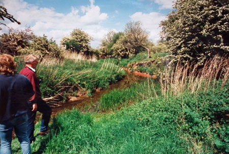 Fairham Brook 1995