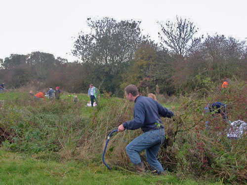 Photo of work party in action